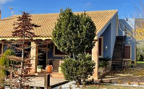 Attic Nature En Albacete