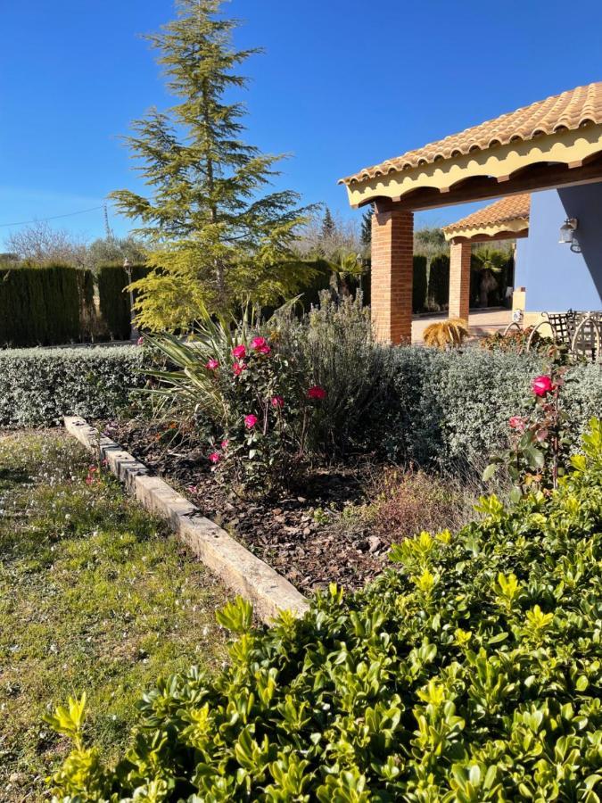 Attic Nature En Albacete Caudete Exterior foto